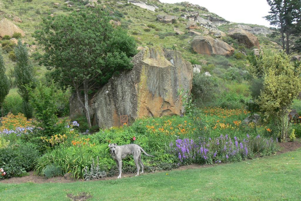 Aspen Guest House Clarens Exterior photo